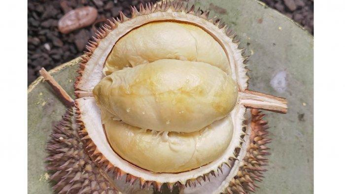 Durian Petruk